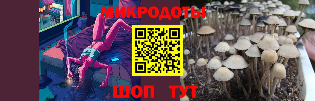 Реж  Галлюциногенные грибы Magic Shrooms  Псилоцибиновые грибы ЛСД  Вход с VPN 